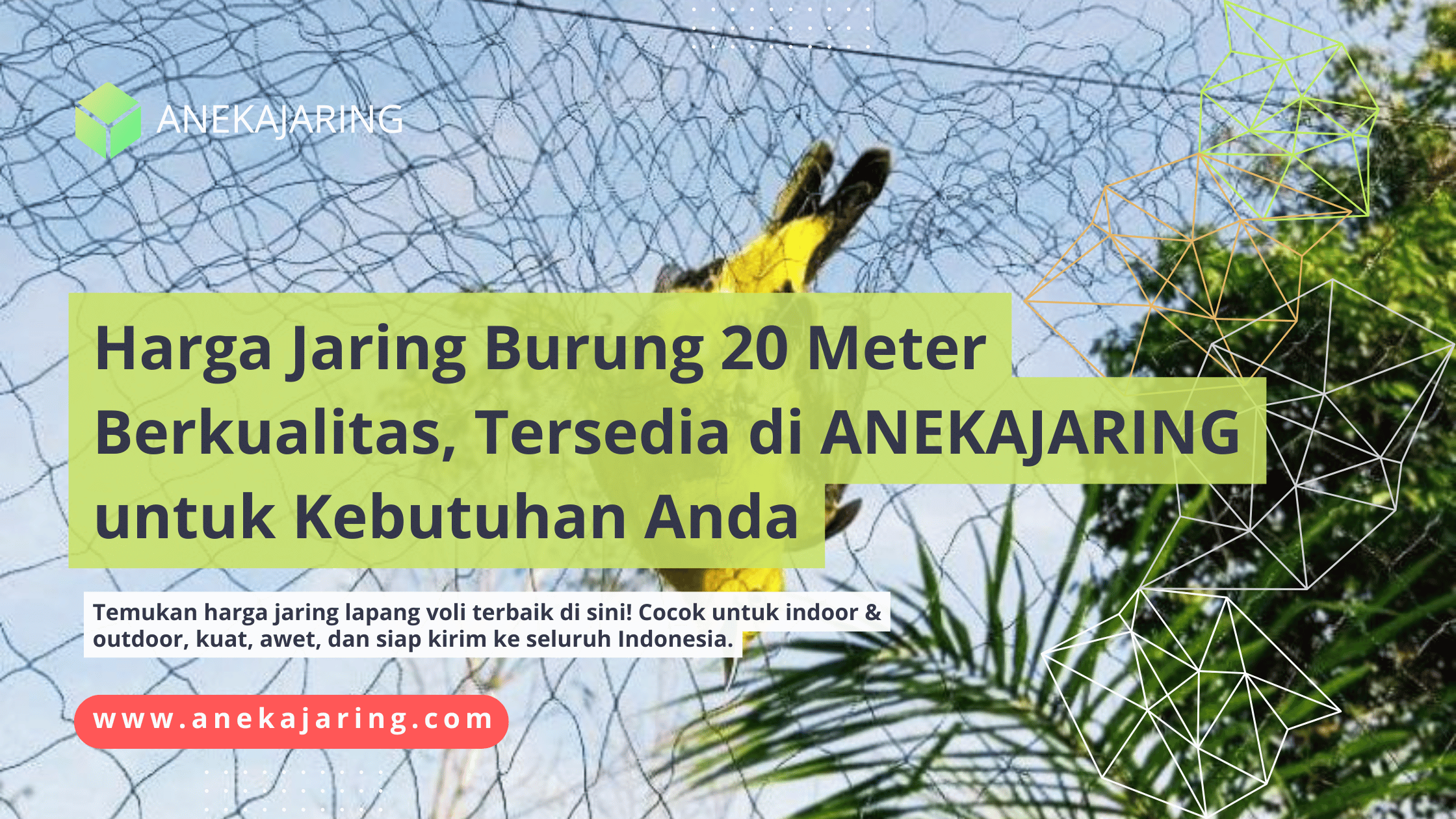 Harga Jaring Burung 20 Meter Berkualitas, Tersedia di ANEKAJARING untuk Kebutuhan Anda