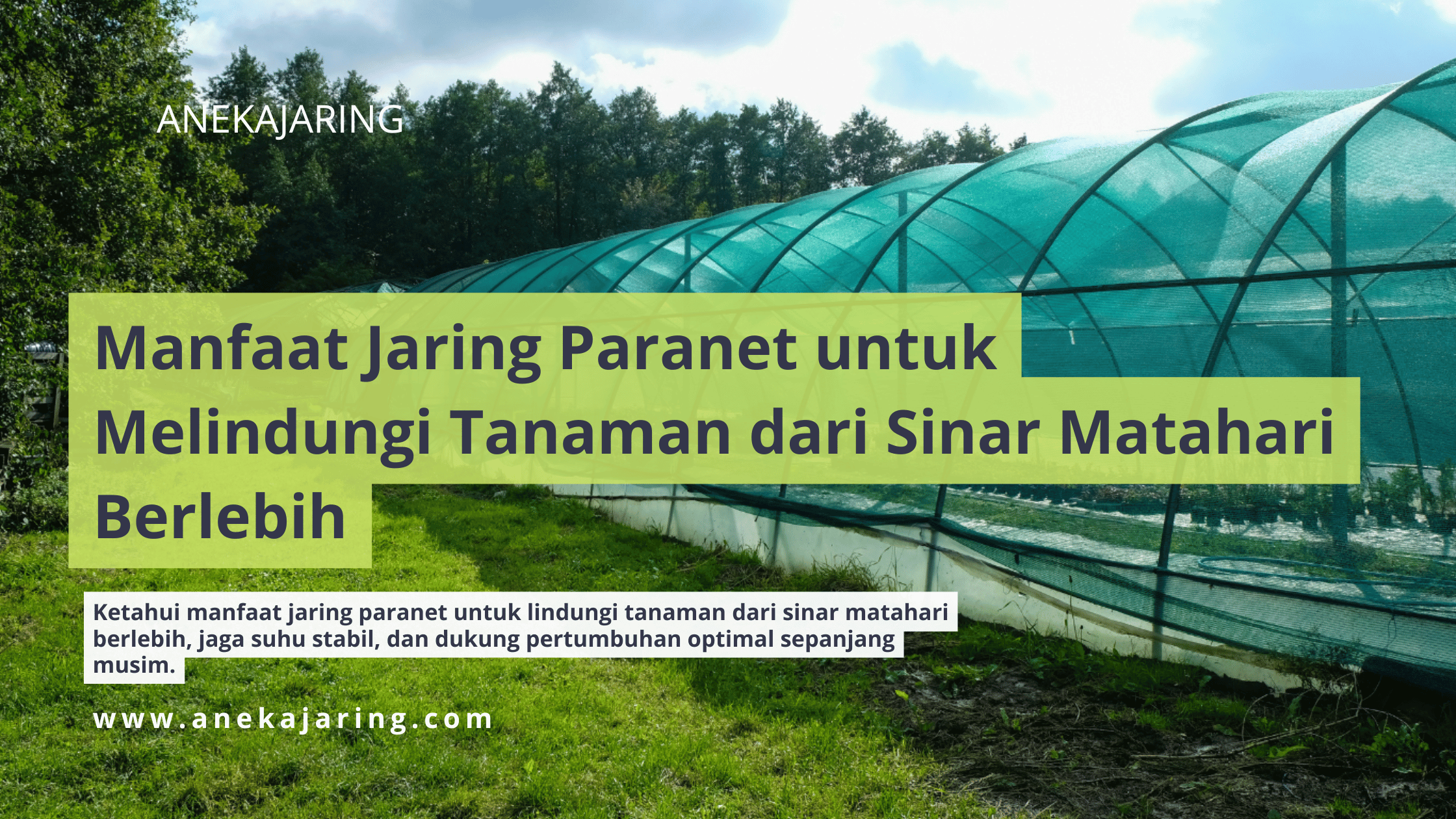 Manfaat Jaring Paranet untuk Melindungi Tanaman dari Sinar Matahari Berlebih